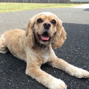 Meet your Posher, Erika